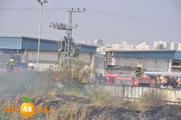 firecartoonsecnd506 (31).JPG